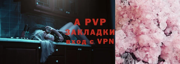 стаф Балахна