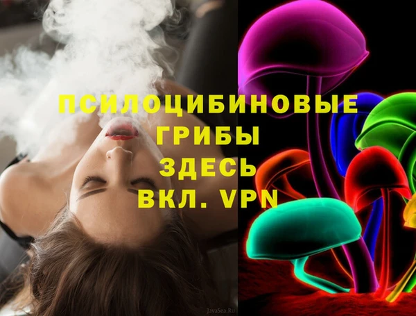 стаф Балахна