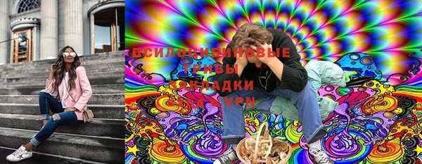стаф Балахна