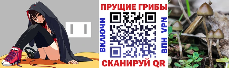 Псилоцибиновые грибы мицелий  цены наркотик  Ворсма 